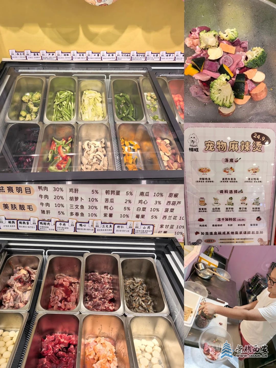 西安的小狗也有麻辣烫吃啦_2_🍓_来自小红书网页版.jpg