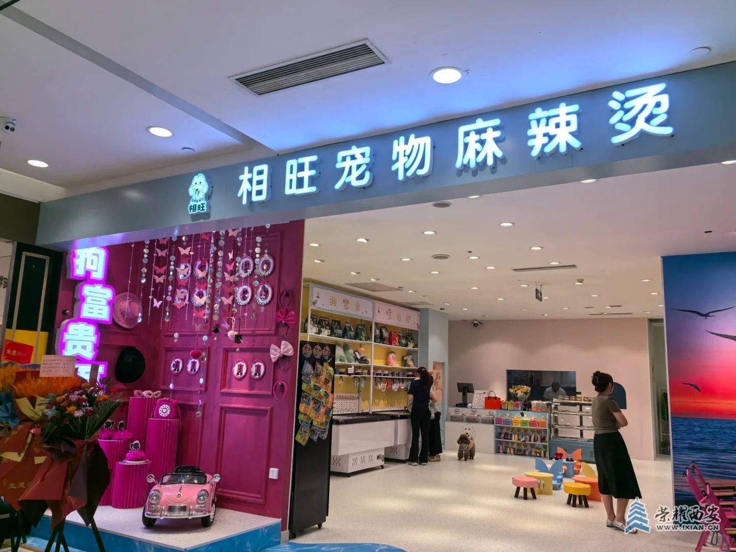 西安的小狗也有麻辣烫吃啦_1_🍓_来自小红书网页版.jpg