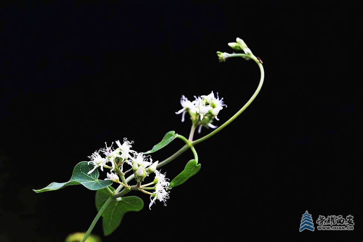 20250808200916front2_0_627177_Fqeiz1KbOQ0pqn256fB5ueHNLtu-.jpg