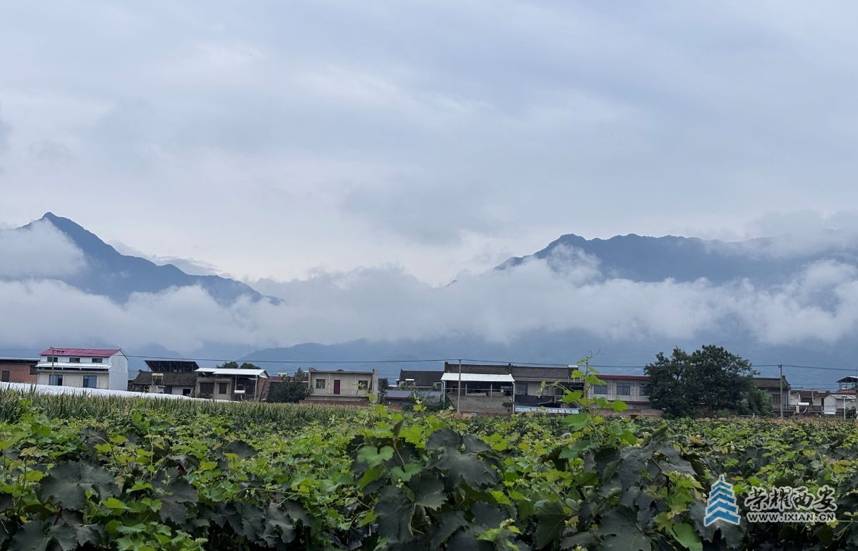 05.jpg