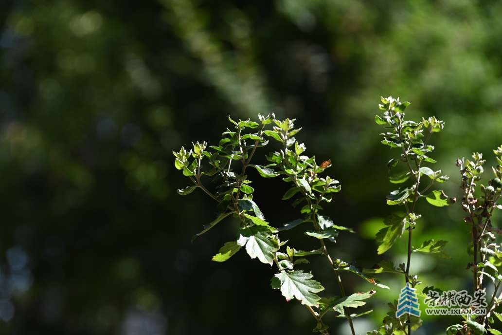 20250811110427front2_0_641246_FnJWXE-G2VvOW2cgt47Tr3yK6dQv.jpg
