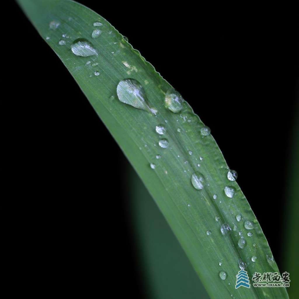20250811205309front2_0_627177_FopOuwDk77qmxLXl1L5VNprC22KU.jpg