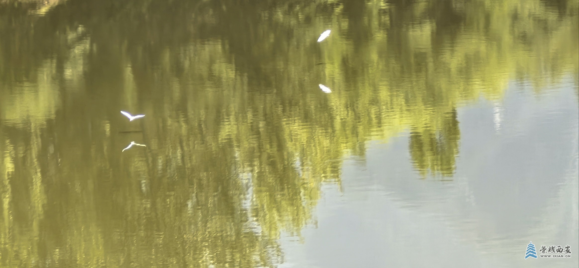 20250812093334front4_0_566948_FiWY-NiJLh810ofwDre1DRHMtbH2.jpg