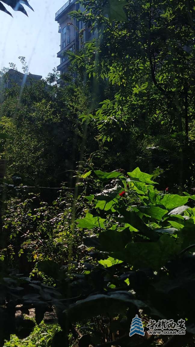 20250812093121front2_0_641246_Fu0tR91sAJkaP-PUFdAPp9L_IuYu.jpg