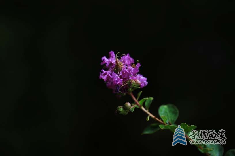 20250812210553front2_0_627177_FmthpOmNDm0zj7U6w2IpAuC6gcZ7.jpg