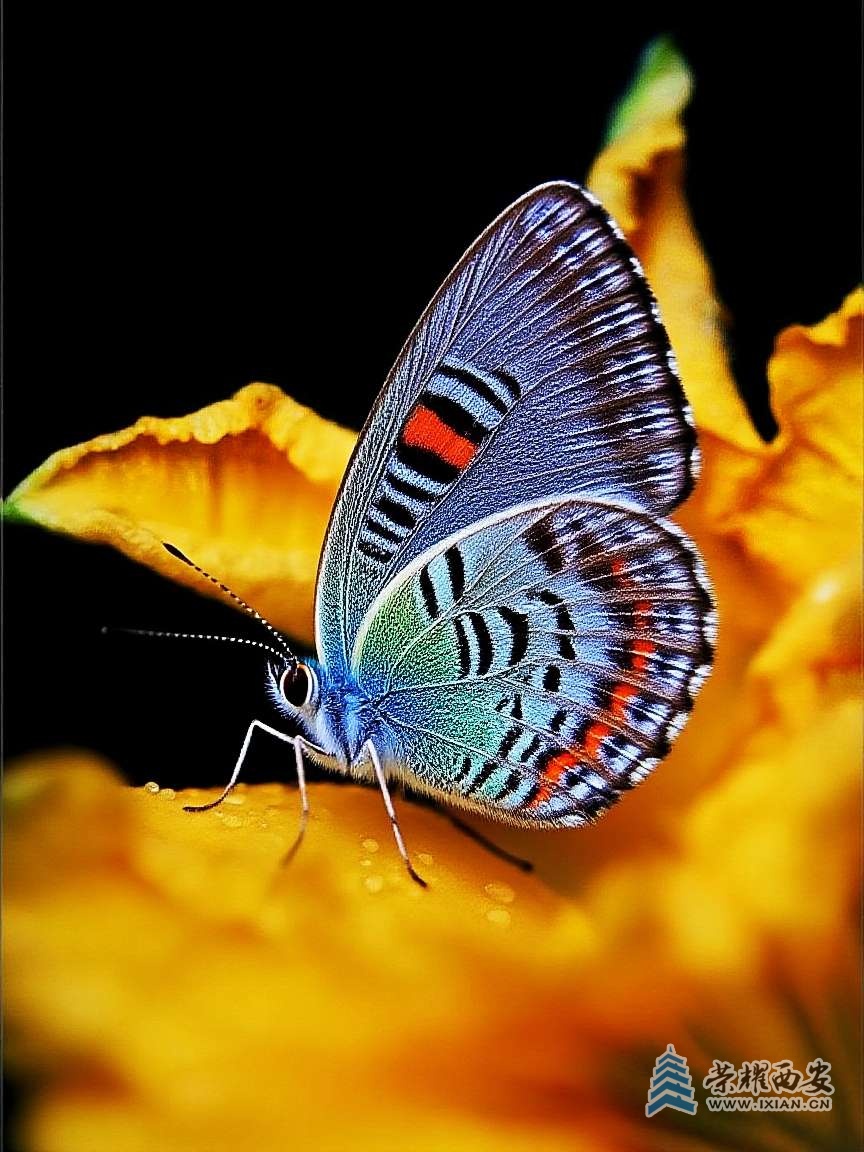 20250813211028front2_0_627177_FhxIZJbcK5zlUKE2wZMDO4_aR8Gv.jpg