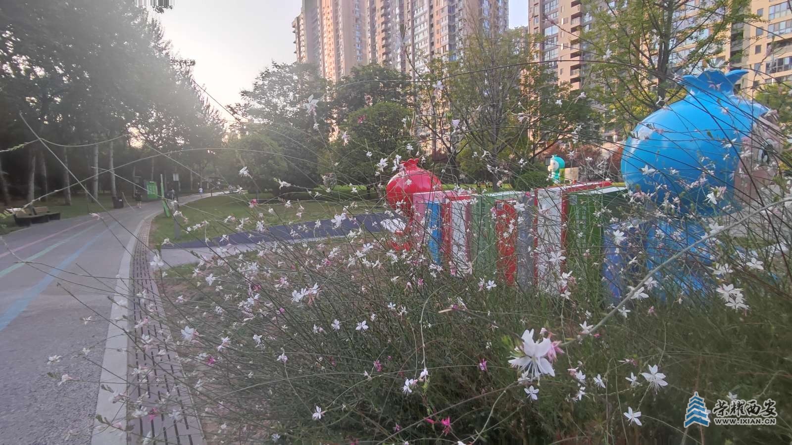 凌霄与山桃草