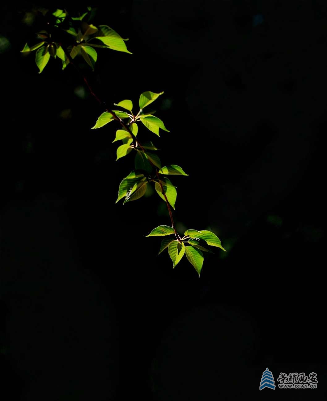 20250816205740front2_0_627177_Fj4vNT81cXqmSLwitkEn2M041t87.jpg
