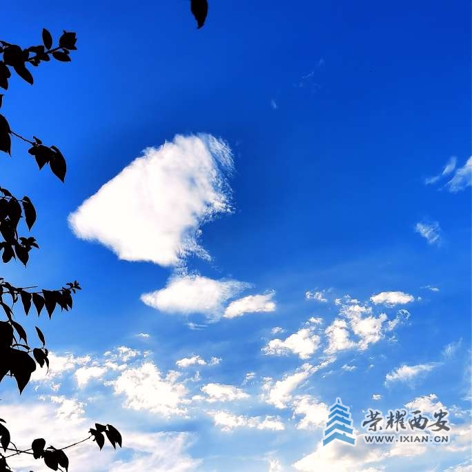 20250817193001front2_0_517244_FuBW2Uy8VoPRZNumMQLw_e-VaPVJ.jpg