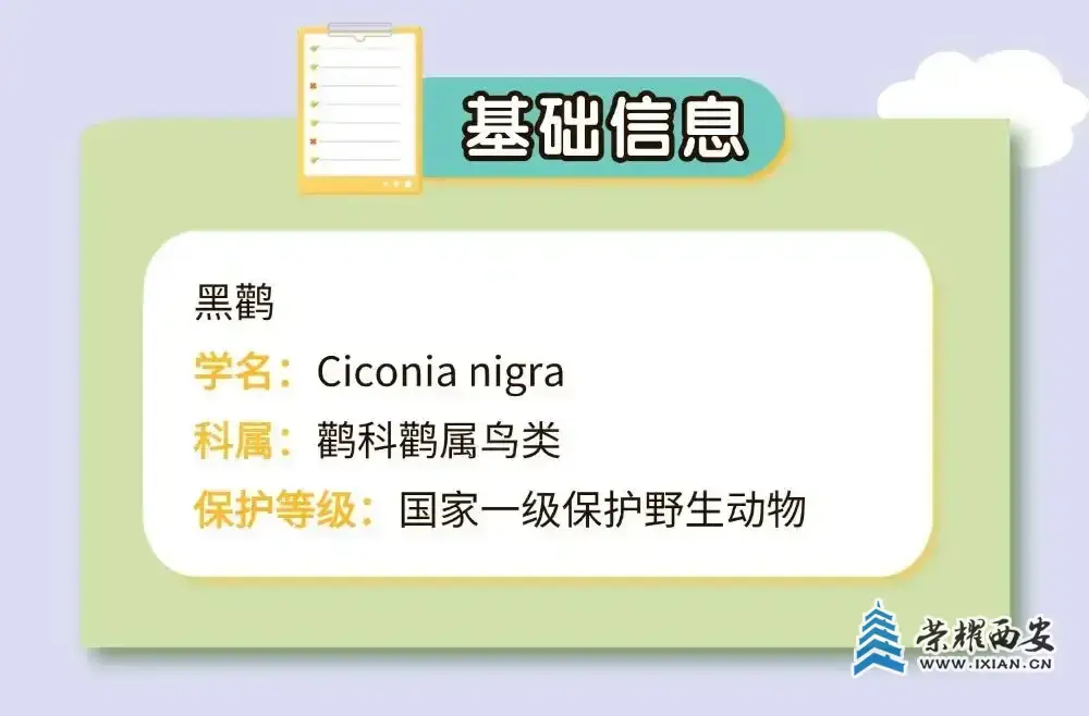 640.webp