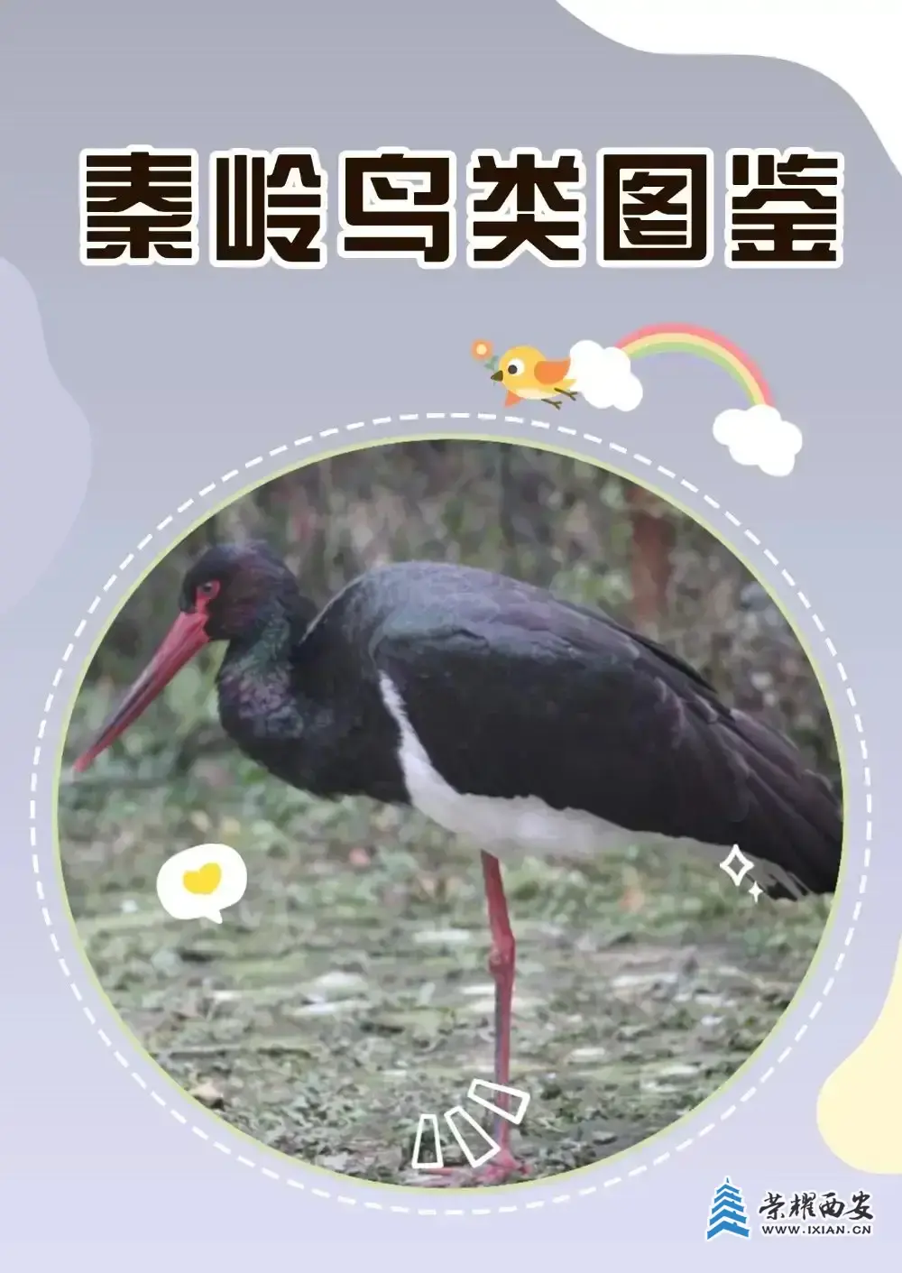 640.webp