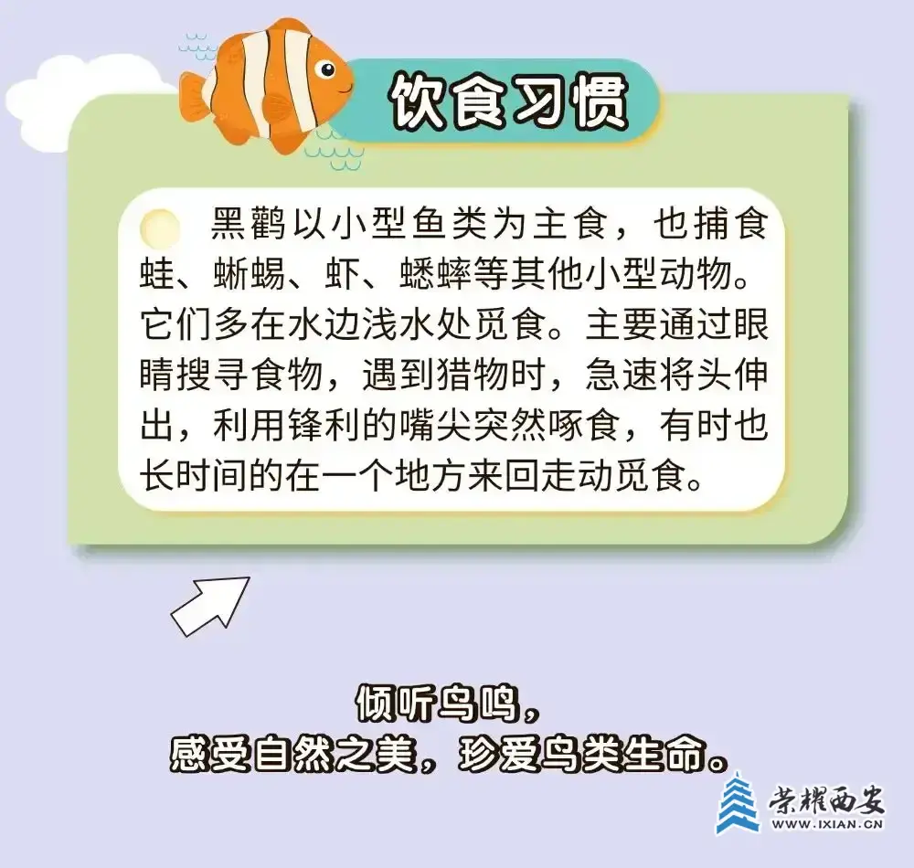 640.webp