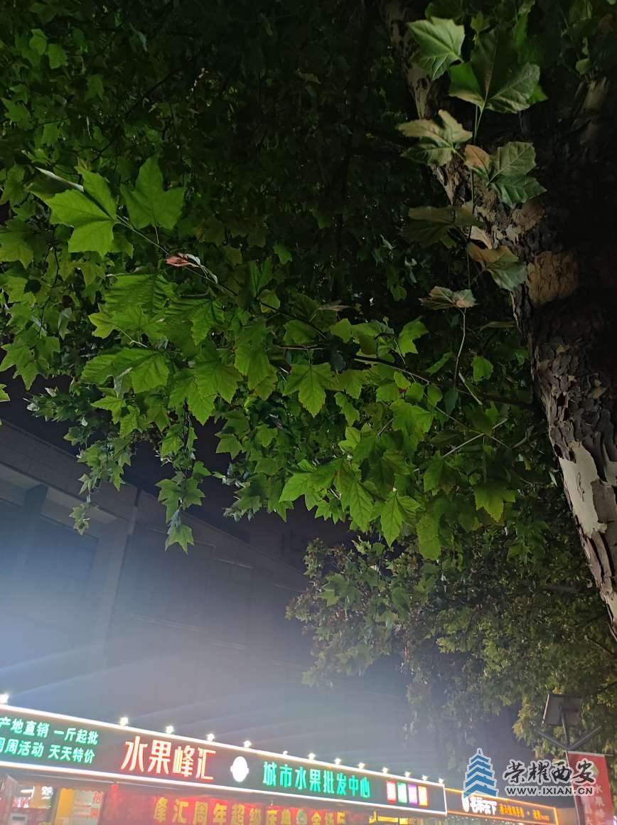 20250826083651front2_0_641246_Frb8OxEVbJ42lx9GcYakVQhWdfM5.jpg