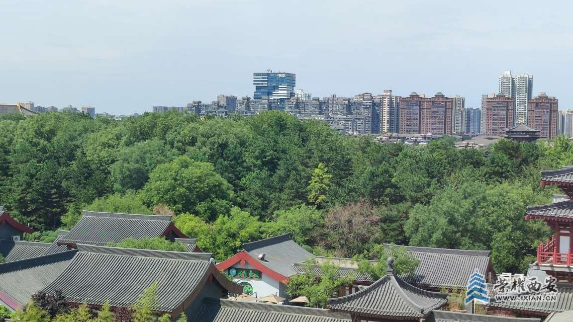20250826143936front2_0_641246_FmNGjUuKr2CIOfMVBq-OTZpx-9ld.jpg