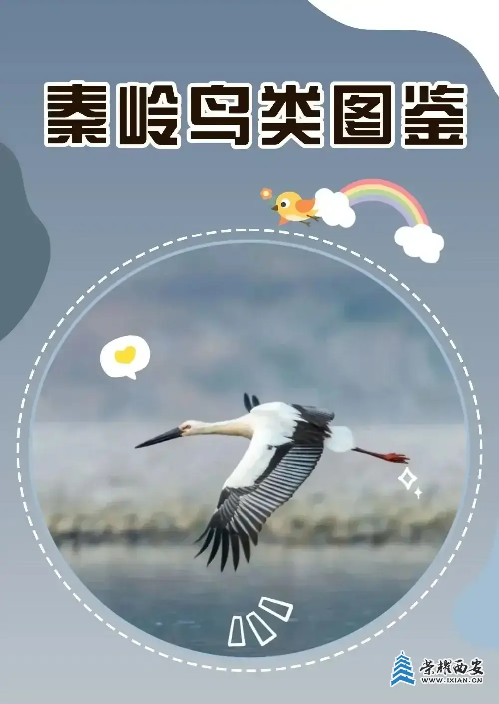 640.webp