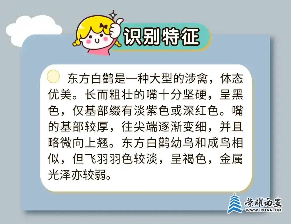 640.webp