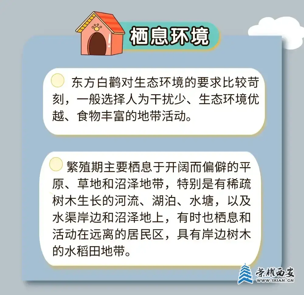 640.webp