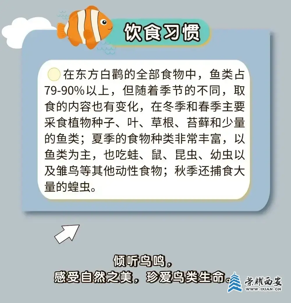 640.webp