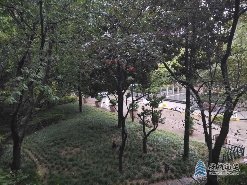 20250905072757front2_0_496655_Fpz_St4f0JAsKFEVMrEDeU86i2qA.jpg