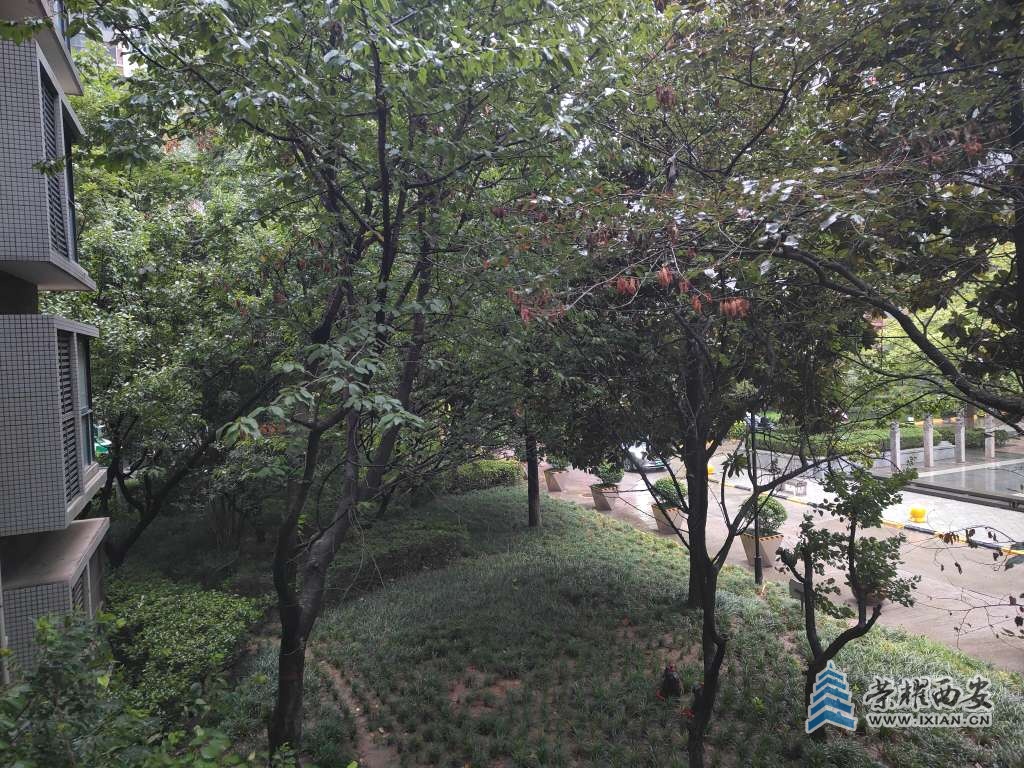 20250905072758front2_0_496655_FnqK5UUcFTxb_8HEenm_ePztn5p8.jpg