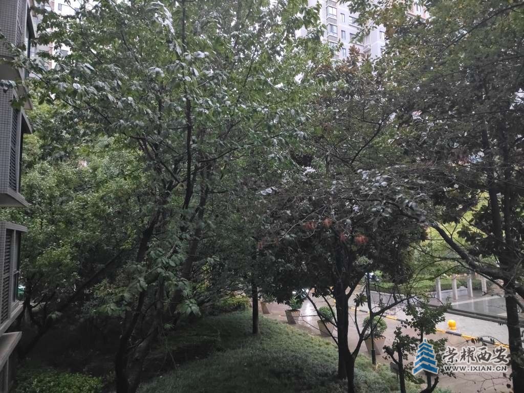 20250905072758front2_0_496655_FjbALv4JJWnHqrNX84nYmbYQ4u0H.jpg