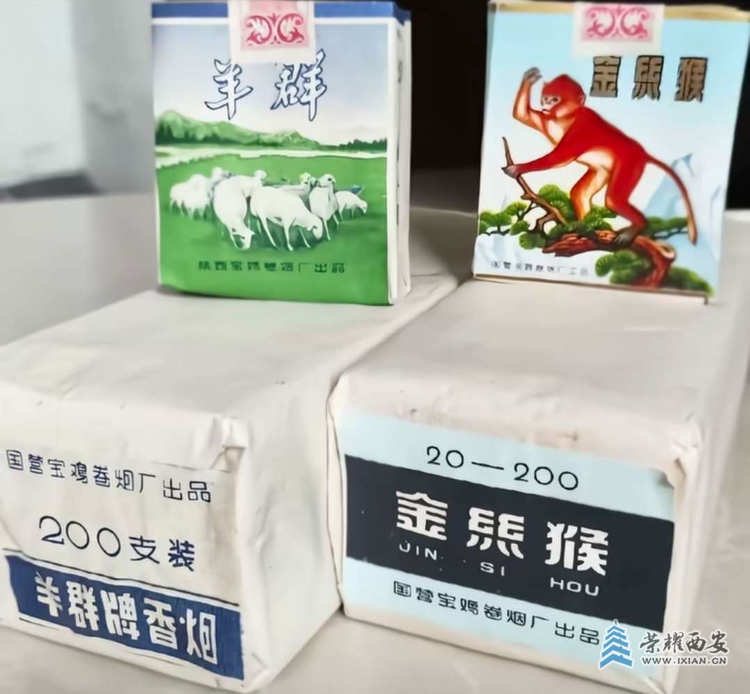 20250905081825front2_0_648053_Fpw8HMj2Dk8Akccejiqt1PZ1BcR7.jpg
