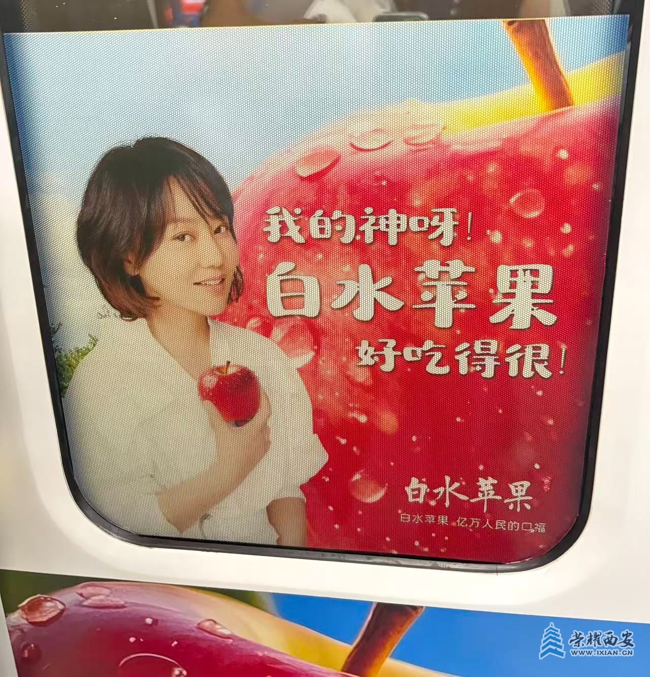 微信图片_20250908112758_6_20.jpg