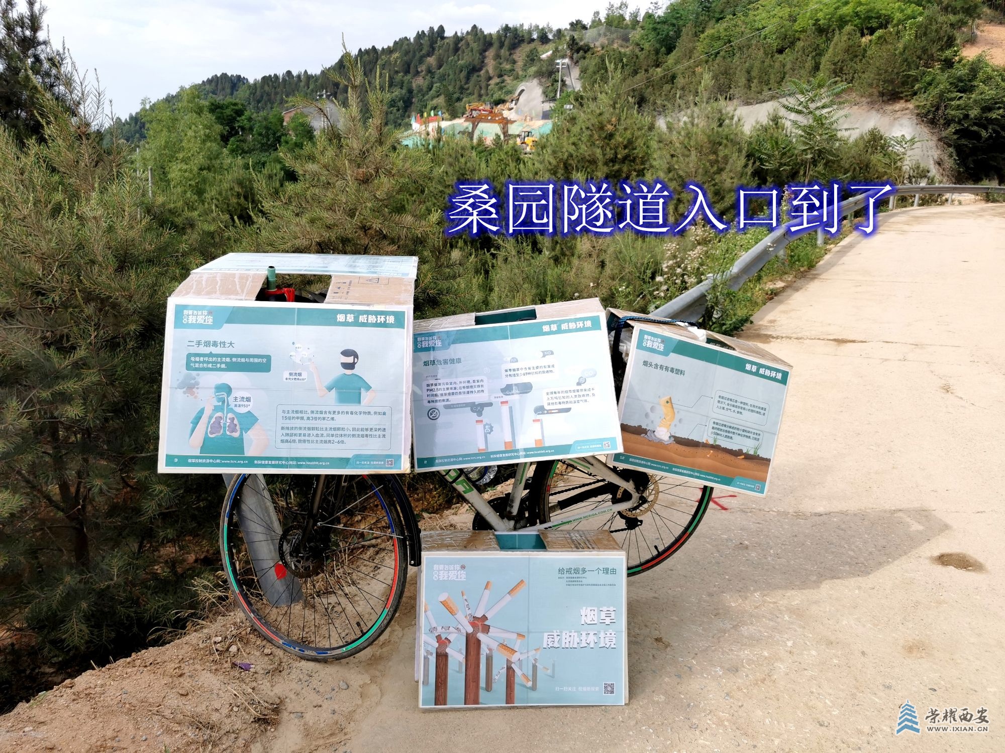 IMG_20220602_165421桑园隧道入口快要到了，二手烟毒性大，烟草危害健康，烟头含有有.jpg