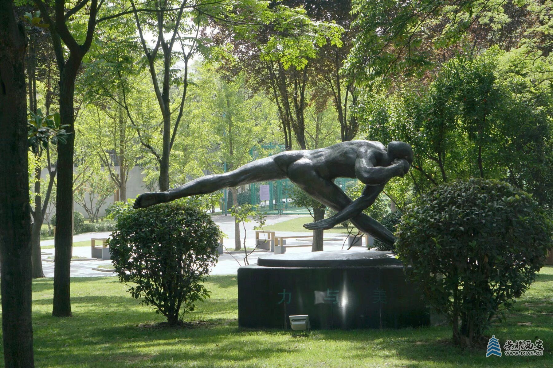 psc (4).jpg