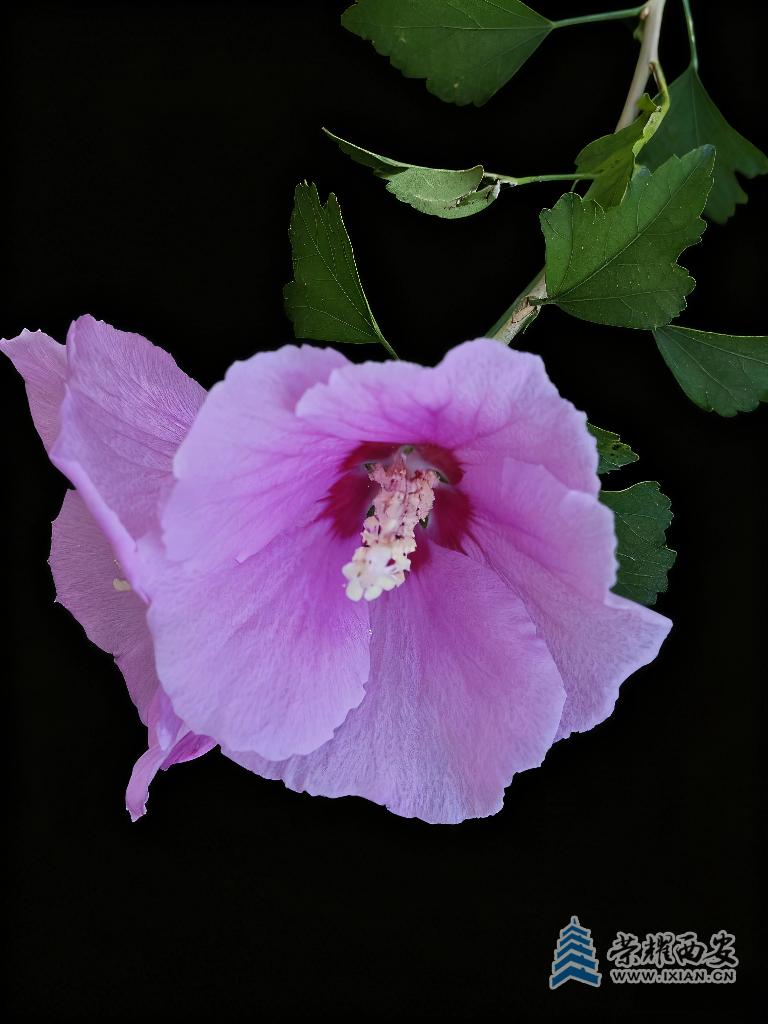 20250915192624front2_0_627177_FlGrRSNF31kVmnEH76M0hJWwbN-1.png