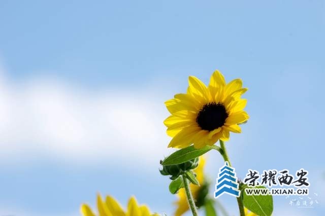 027d6b8b3a744cadb3b396afd10e8566~tplv-tt-shrink:640:0.jpg
