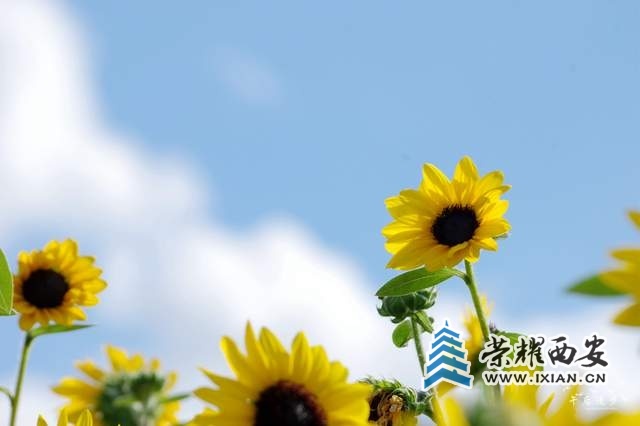 8a6d5ff603bc405db18a2f43ef9d5405~tplv-tt-shrink:640:0.jpg