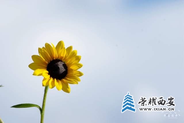 51efb390f14a49a8b2c5f4cd1e036f07~tplv-tt-shrink:640:0.jpg