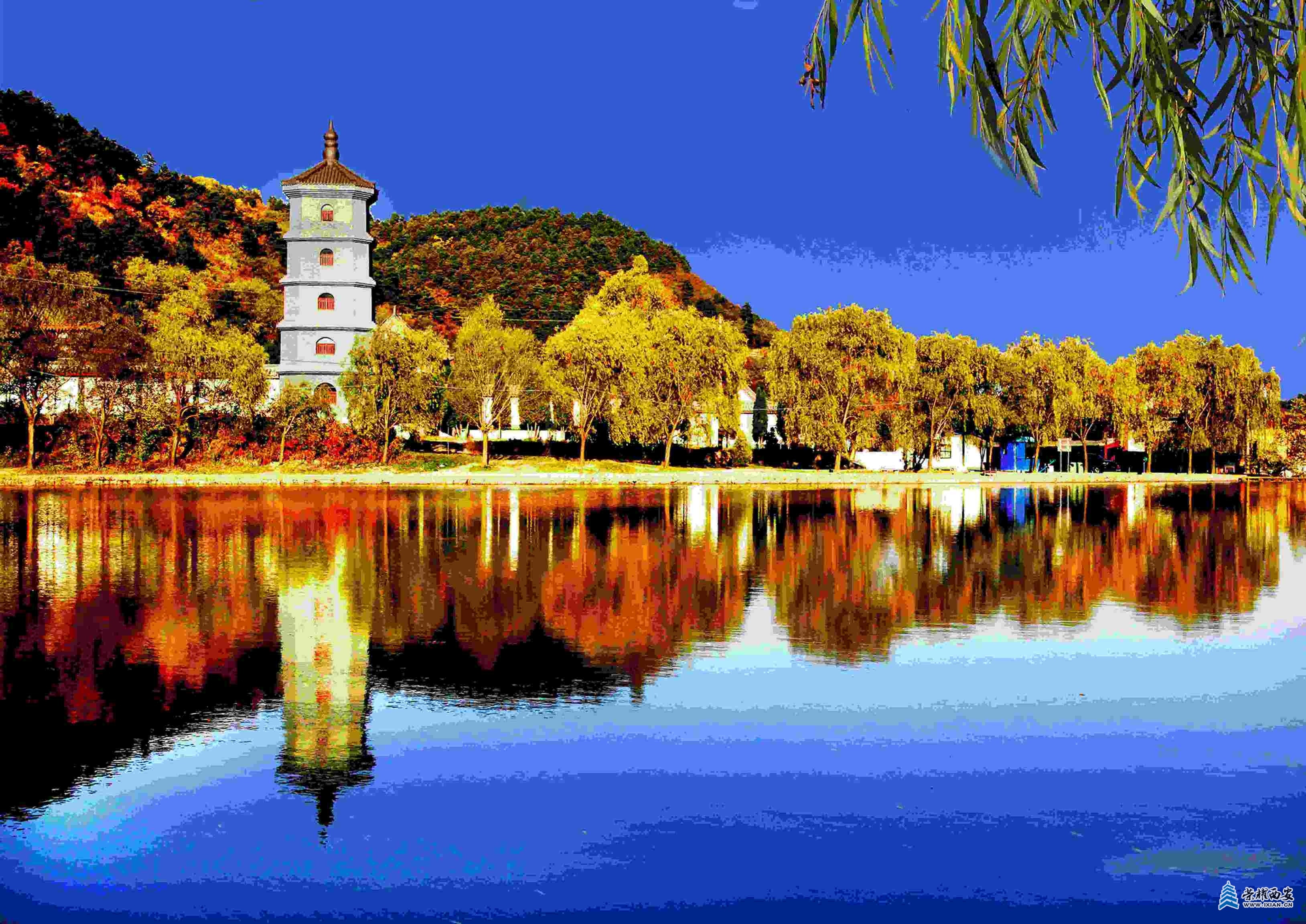 4a22e1cc1f46496db115b653eefe1f5e~tplv-tt-origin-web:gif.jpeg?_iz=58558&from=article.jpg