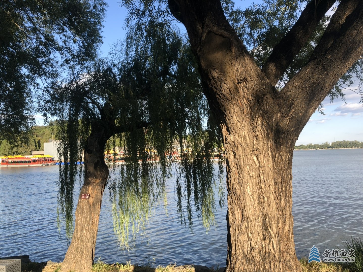 20250920183502front1_0_562933_Fv5UJ2xUBENvF4Q0SXSrstjrfMST.jpg