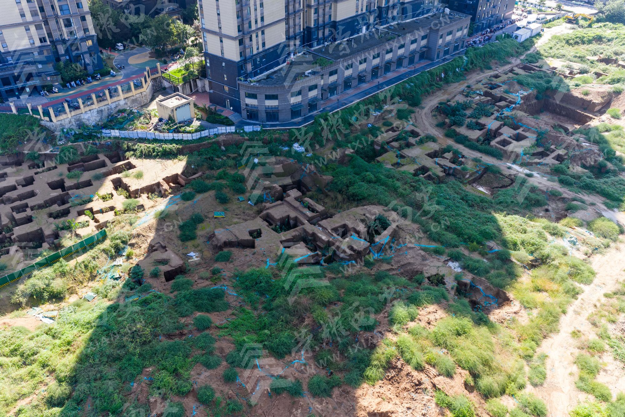 DJI_20250924144953_0027_D_1.jpg
