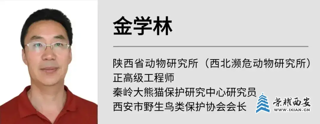 get.webp