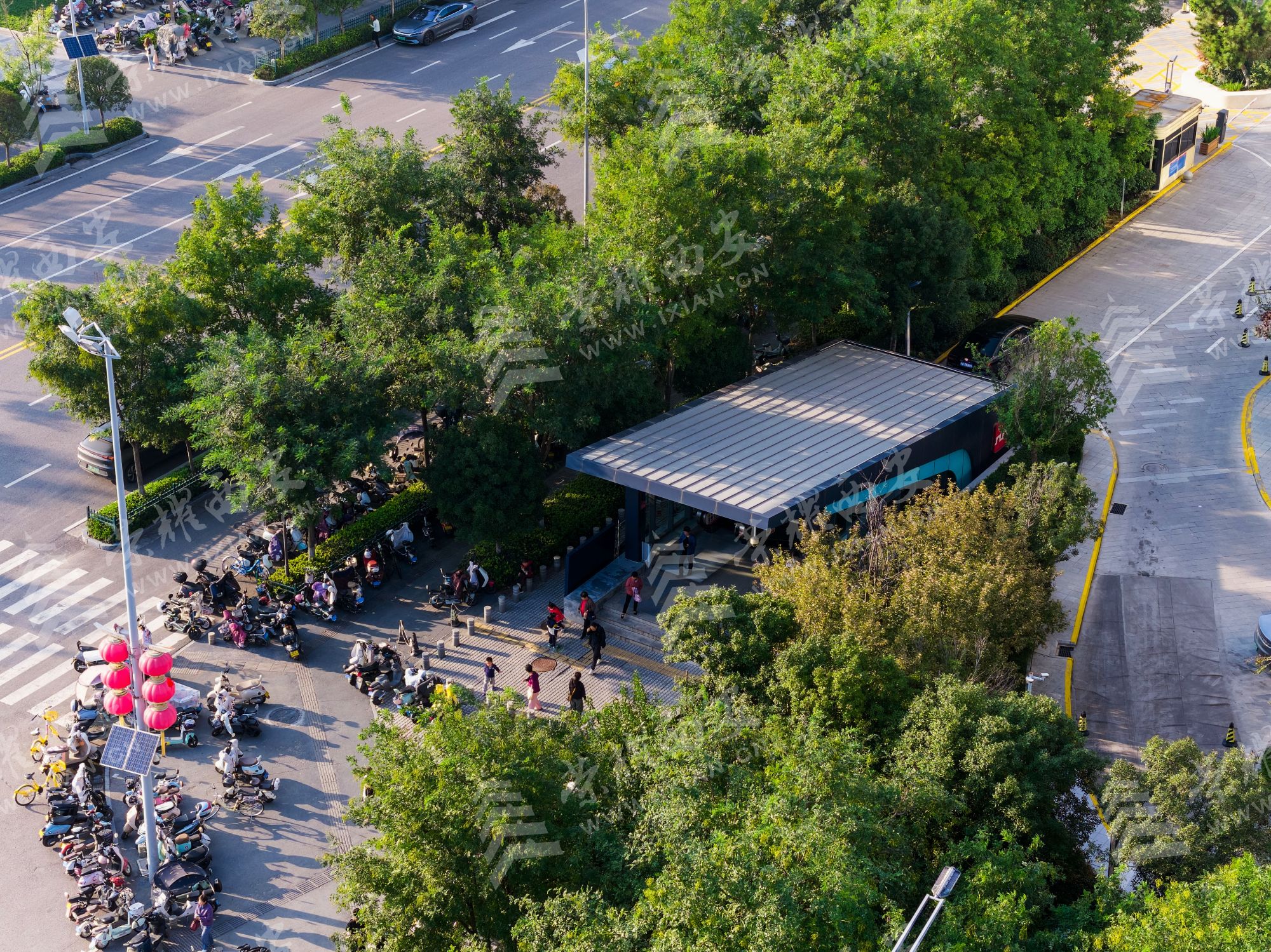 DJI_20250924171236_0195_D_1.jpg