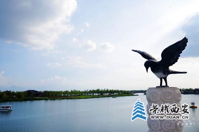 2e877efa15b34c7aba55aced4719f6c2~tplv-tt-shrink:640:0.jpg