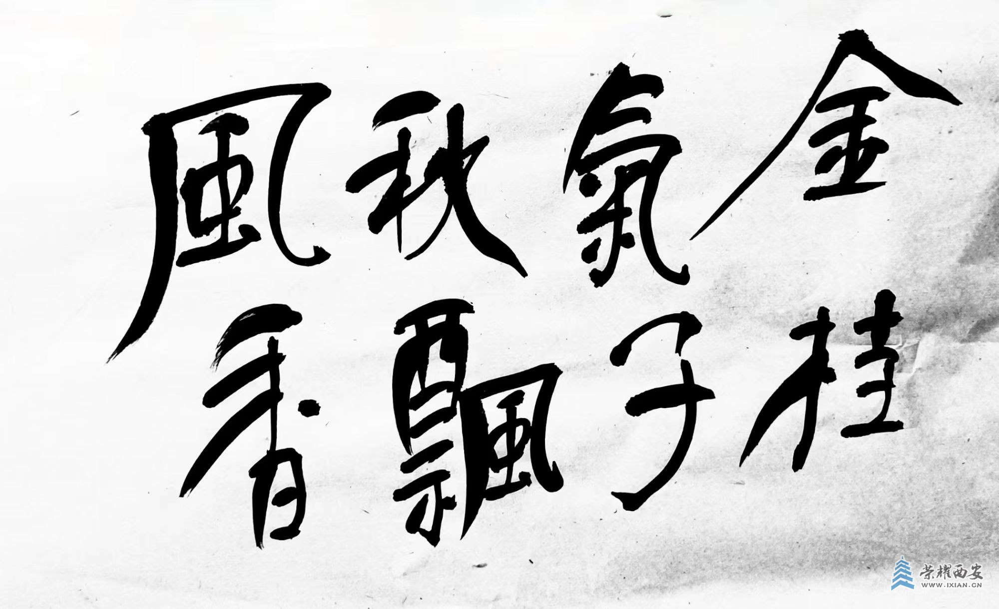 微信图片_20240725112828.jpg