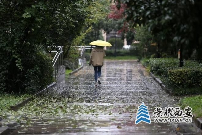 ?url=http%3A%2F%2Fdingyue.ws.126.net%2F2025%2F1008%2F382442d0j00t3sw6f00h1d000jg00czp.jpg