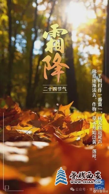 ?url=http%3A%2F%2Fdingyue.ws.126.net%2F2025%2F1008%2Febe68f9fj00t3sv98001ad000c800lqm.jpg