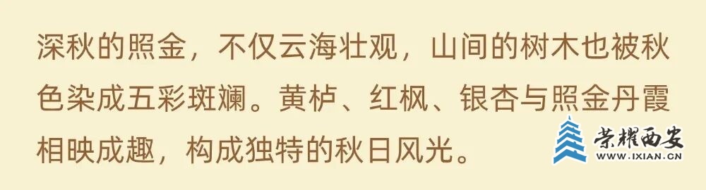 ad97966c27b74ecb8904b873492c3ae9~tplv-tt-origin-web:gif.jpeg?_iz=58558&from=article.jpg