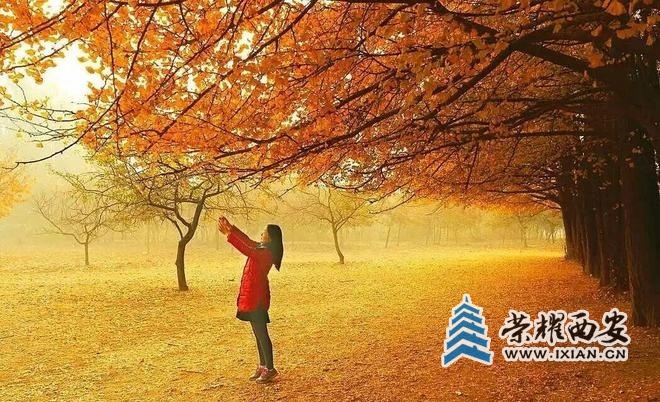 ?url=http%3A%2F%2Fdingyue.ws.126.net%2F2025%2F1009%2F0db20b34j00t3v8b8005zd000t500hqm.jpg