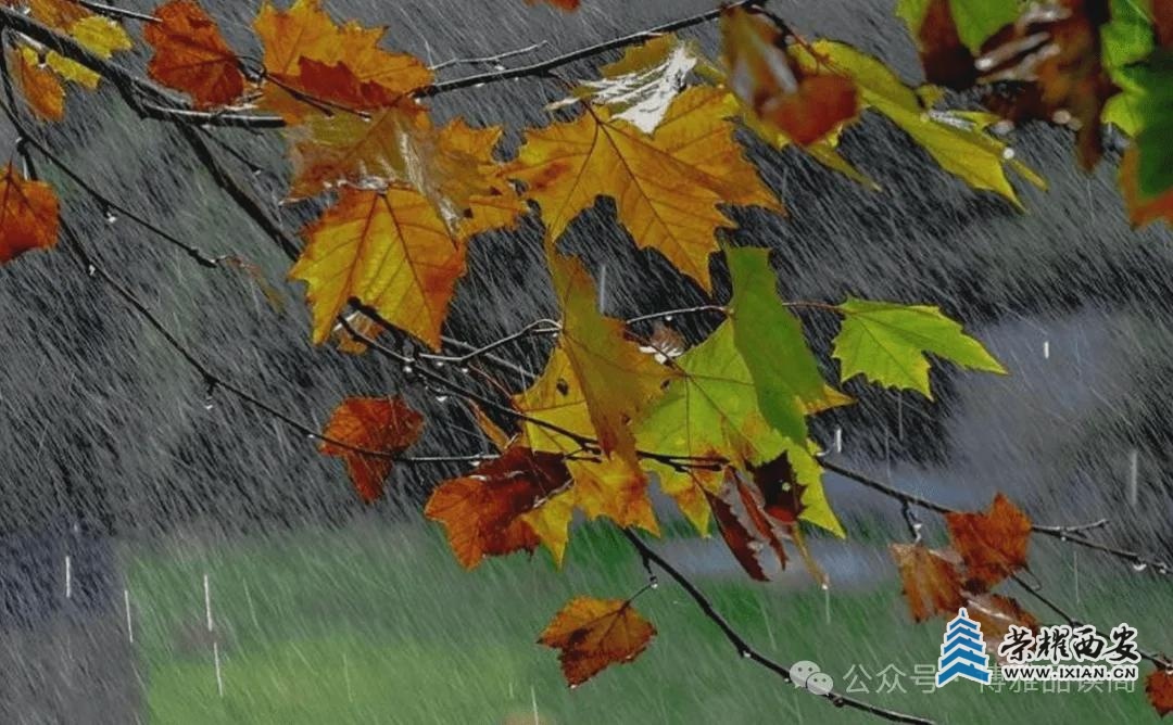 西安的雨，终于停了