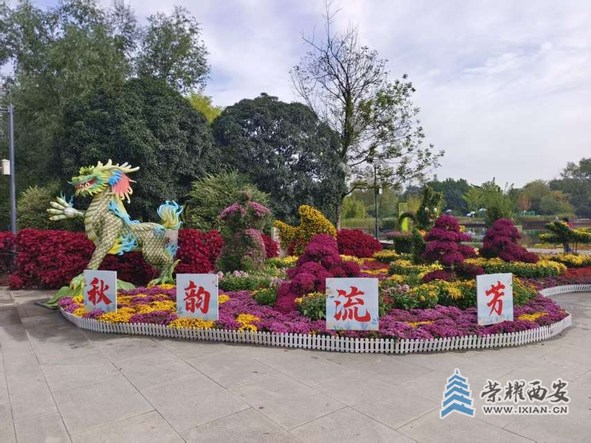 西安植物園菊展亂拍