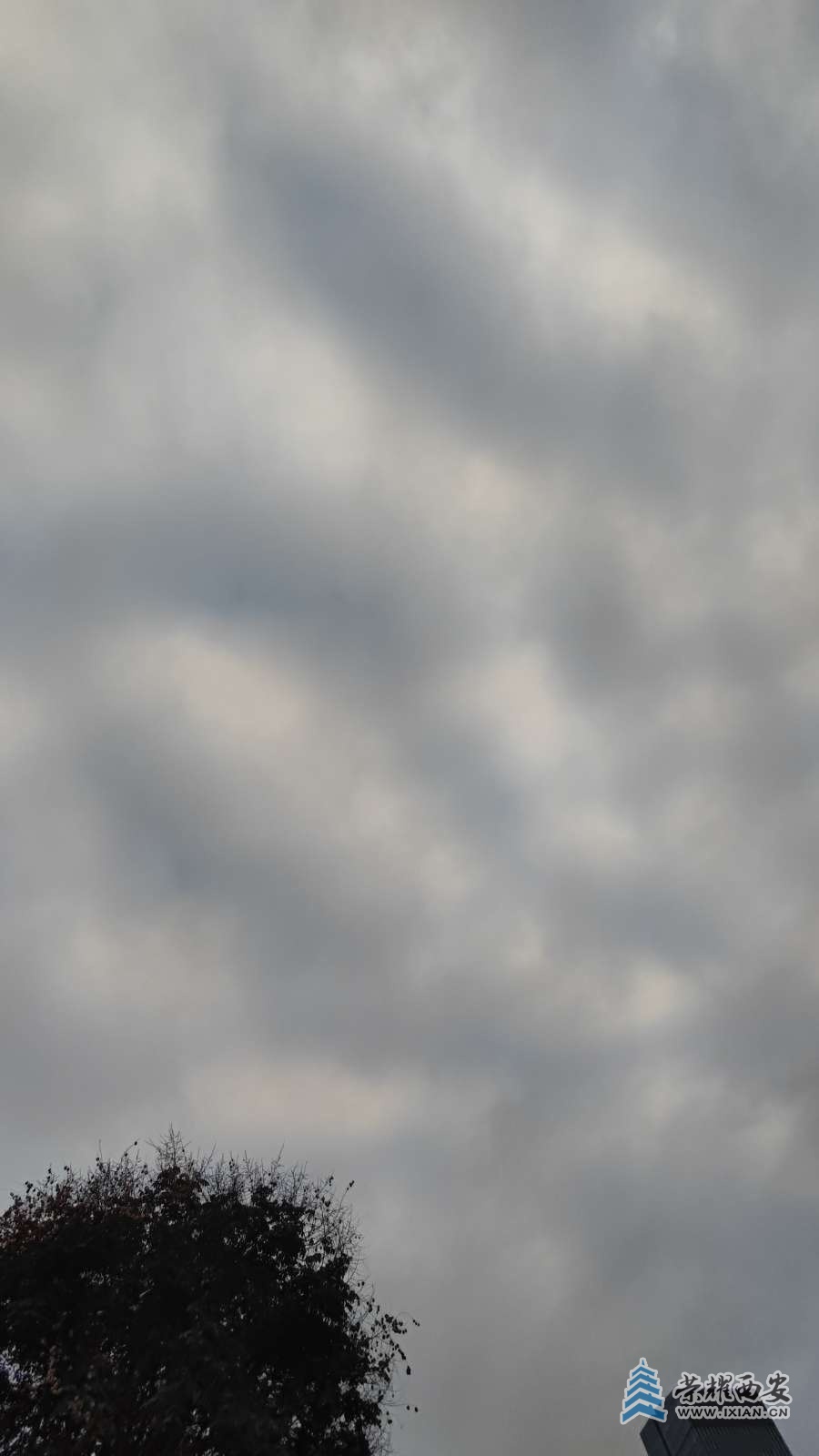 20251017173024front2_0_641246_FpjNnBb21xH1fTB6-xBqNjdhTodI.jpg