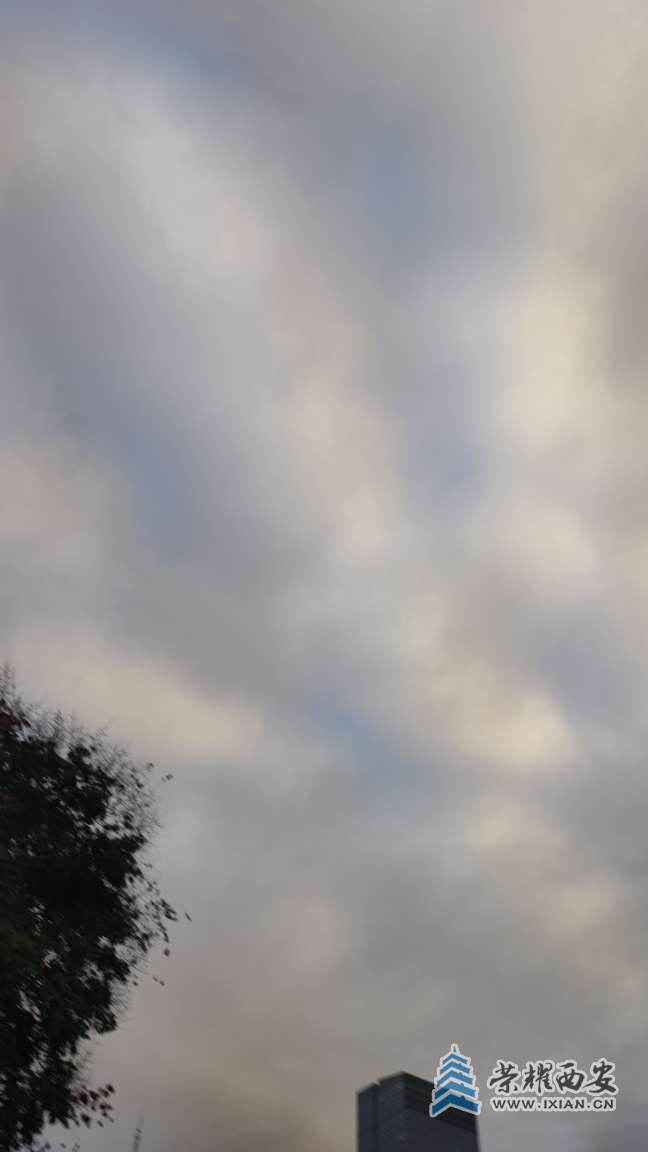 20251017173024front2_0_641246_FibVtxRG7ivYl6a_ap24THWayZWg.jpg