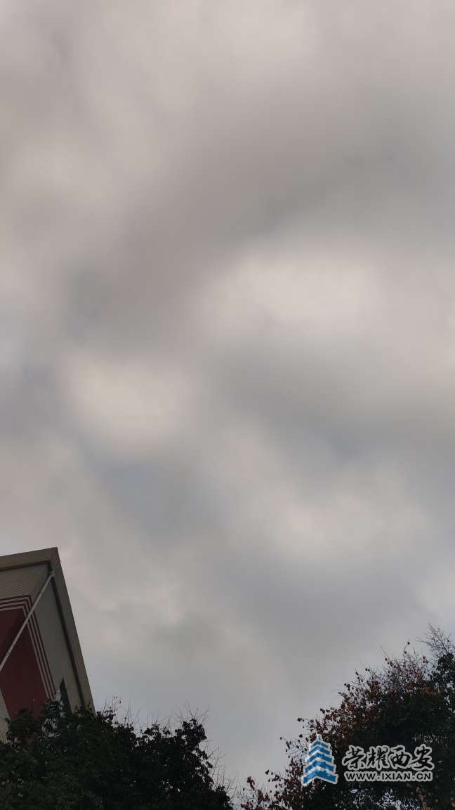 20251017173024front2_0_641246_Ft1q3pDRj2XvtGr_pPxR5fcWSZWi.jpg