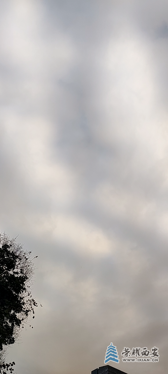 20251017173131front2_0_641246_FjXLdbPWz0c1ML1KM7J1580QlhNk.png